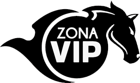 zona-vip.net